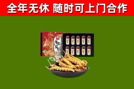 江南回收冬虫夏草价格